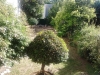 Vista del patio del Coworking Montevideo
