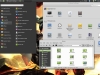 linux-mint-02