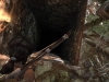 Tomb Raider