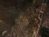 Tomb Raider