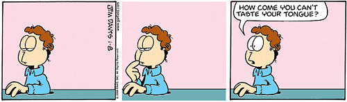 Garfield sin Garfield