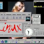 muLinux