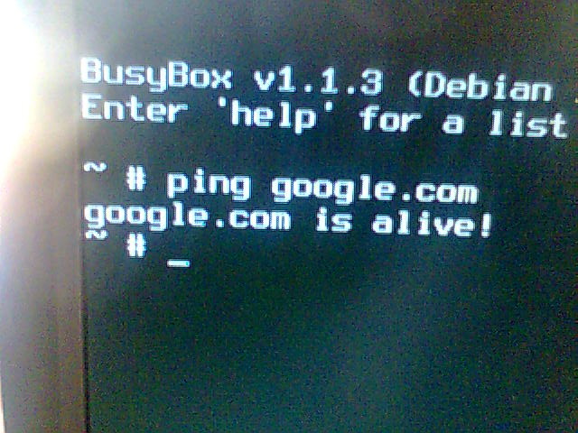 Skynet - ¿Codename "Google.com"?