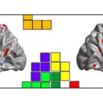 Tetris y tu cerebro