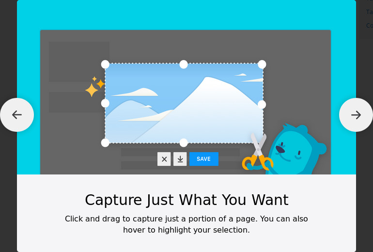 Captura sólo lo que quieres - Haz clic y arrastra para capturar sólo una porción de una página. También puedes flotar para destacar tu selección