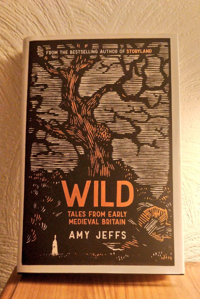 Wild - Amy Jeffs